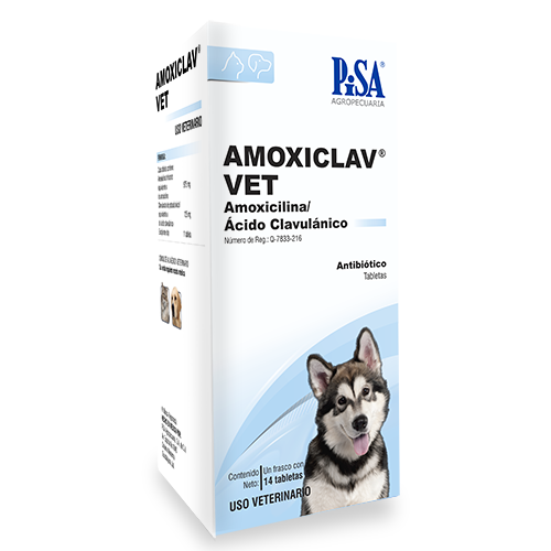 Amoxiclav Vet 14 Tabletas (Amoxicicilina - Ácido Clavulánico)